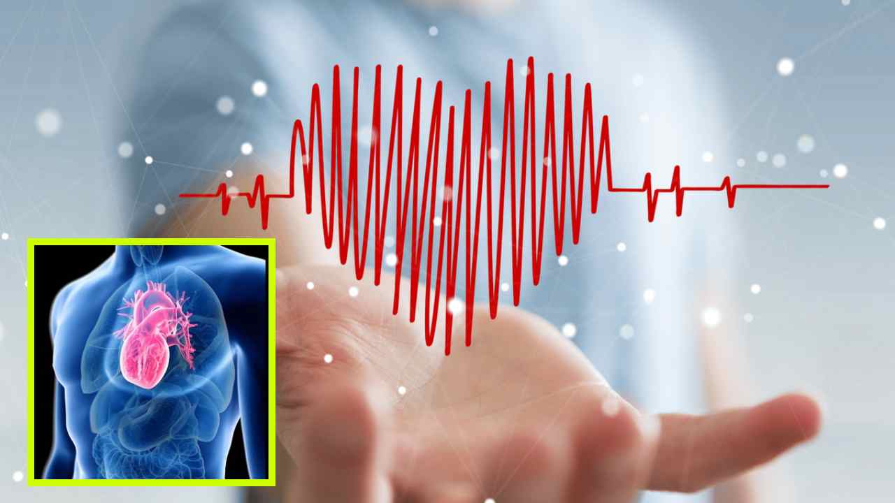 Heart Beat Faster : కొన్ని సందర్భాల్లో మీ గుండె వేగంగా కొట్టుకుంటుందా? మనం చేసే తప్పులే దీనికి కారణమా? Heart Beat Faster : కొన్ని సందర్భాల్లో మీ గుండె వేగంగా కొట్టుకుంటుందా? మనం చేసే తప్పులే దీనికి కారణమా?