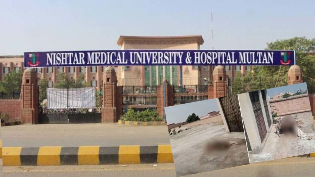 Human Corpses At Hospital Pakistan
