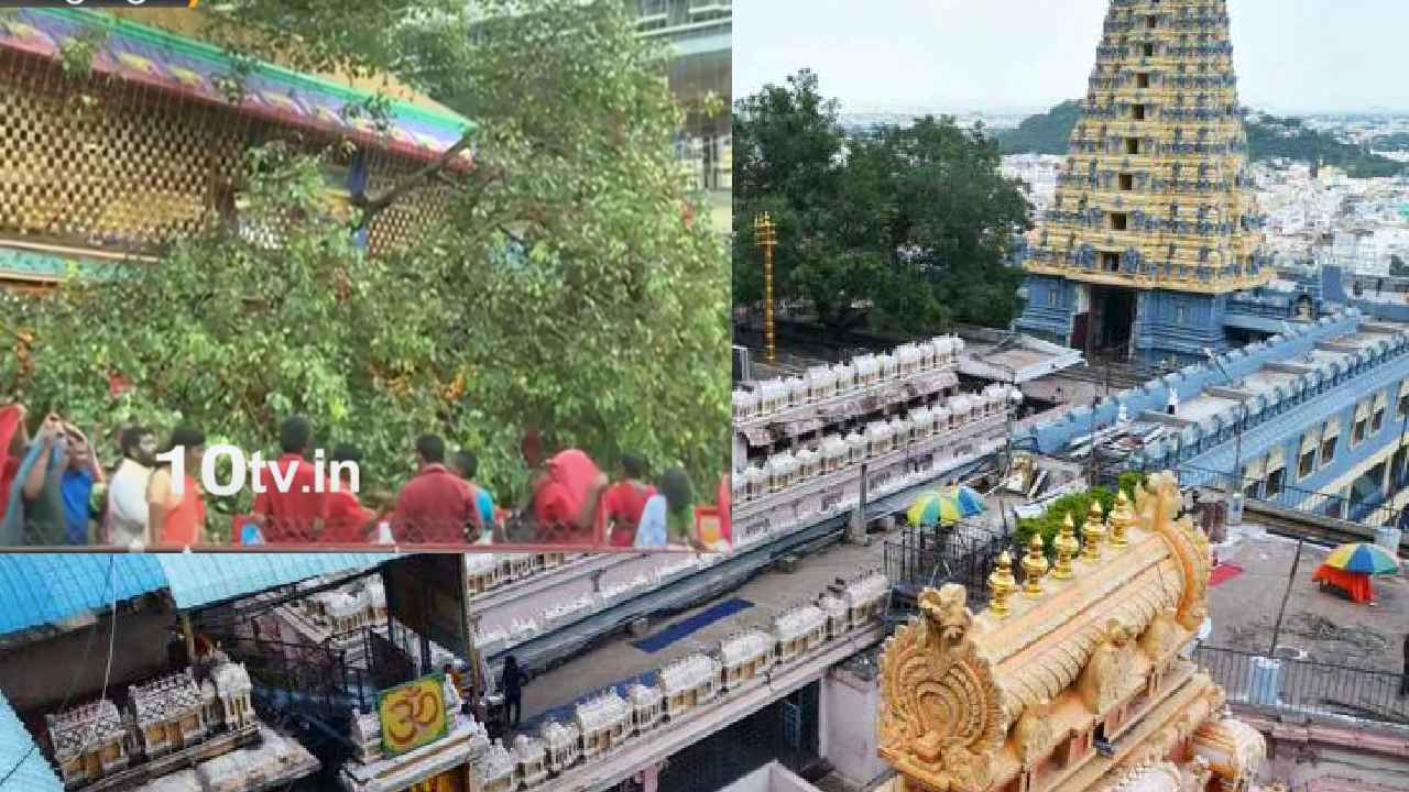 Indrakeeladri Temple : ఇంద్రకీలాద్రిపై తప్పిన పెను ప్రమాదం, భయంతో పరుగులు తీసిన భక్తులు Indrakeeladri Temple : ఇంద్రకీలాద్రిపై తప్పిన పెను ప్రమాదం, భయంతో పరుగులు తీసిన భక్తులు