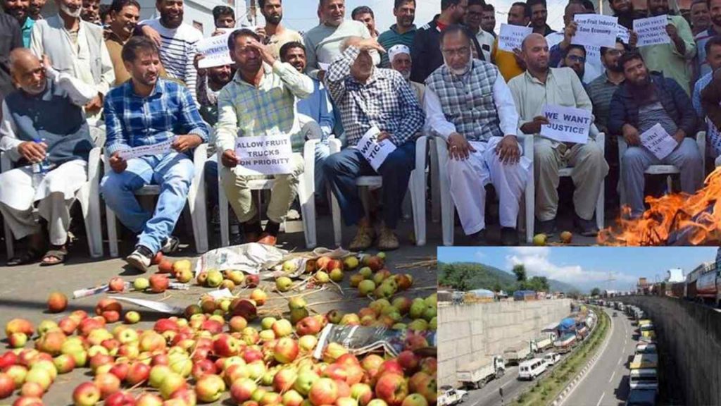 Kashmir Apple Fruits