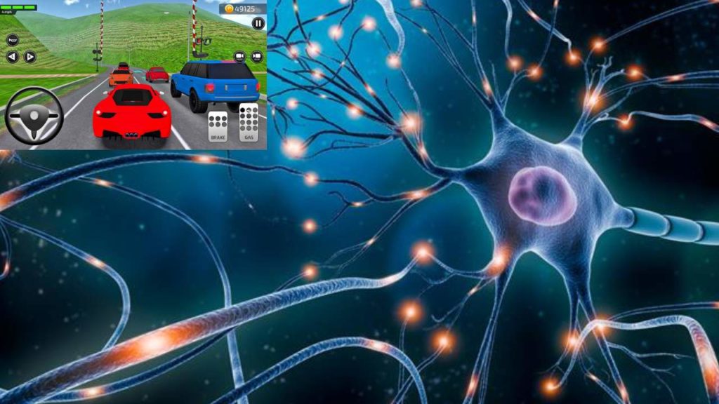 Lab Brain