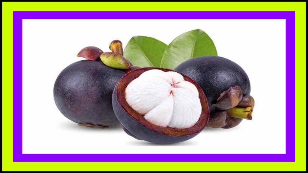 Mangosteen is a fruit full of nutrients! Did you know that eating this fruit can cure chronic diseases?