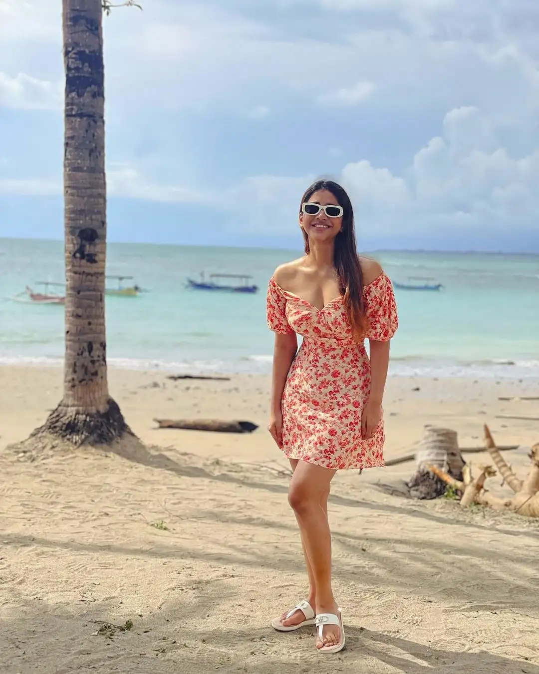 Nabha Natesh Pic2