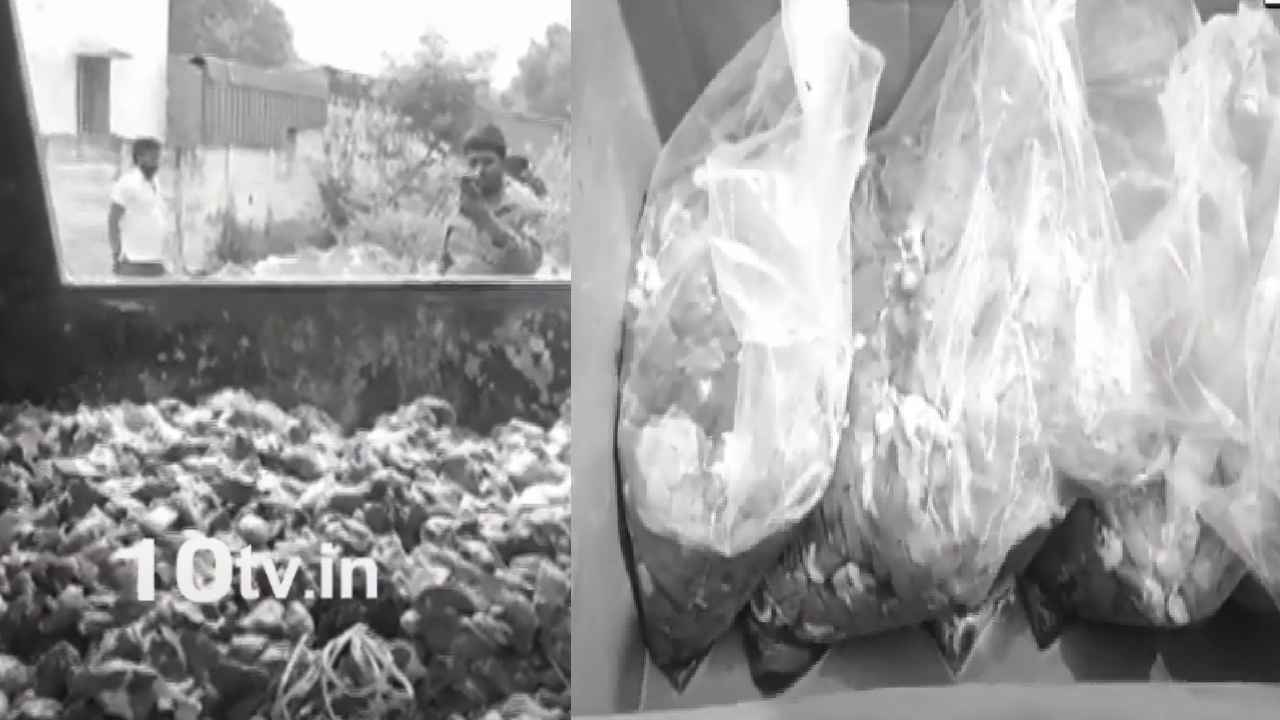 Nellore Rotten Chicken : ఈ చికెన్ తింటే చిక్కులే.. నెల్లూరులో కుళ్లిన చికెన్ విక్రయాలు, తనిఖీల్లో వెలుగుచూసిన షాకింగ్ నిజాలు Nellore Rotten Chicken : ఈ చికెన్ తింటే చిక్కులే.. నెల్లూరులో కుళ్లిన చికెన్ విక్రయాలు, తనిఖీల్లో వెలుగుచూసిన షాకింగ్ నిజాలు
