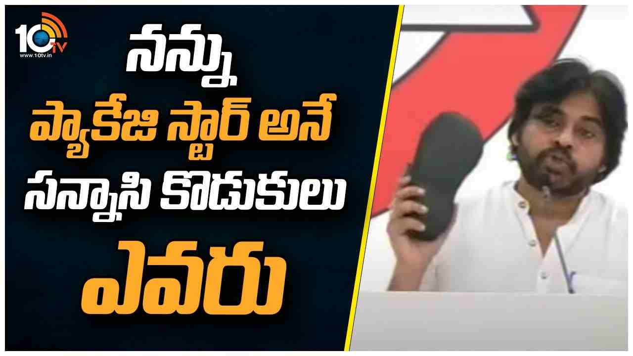 Pawan Kalyan: నన్ను ప్యాకేజి స్టార్ అనే సన్నాసి కొడుకులు ఎవరు.. వారిని చెప్పు తీసుకొని కొడతా