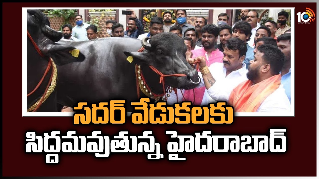 Hyderabad: సదర్‌ వేడుకలకు సిద్ధమవుతున్న హైదరాబాద్