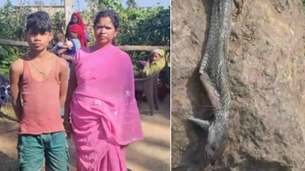 Snake Dies After boy Bites: కాటేసిందన్న కోపంతో పామును కొరికి చంపిన బాలుడు .. ఆ తరువాత ఏం జరిగిదంటే.. Snake Dies After boy Bites: కాటేసిందన్న కోపంతో పామును కొరికి చంపిన బాలుడు .. ఆ తరువాత ఏం జరిగిదంటే..