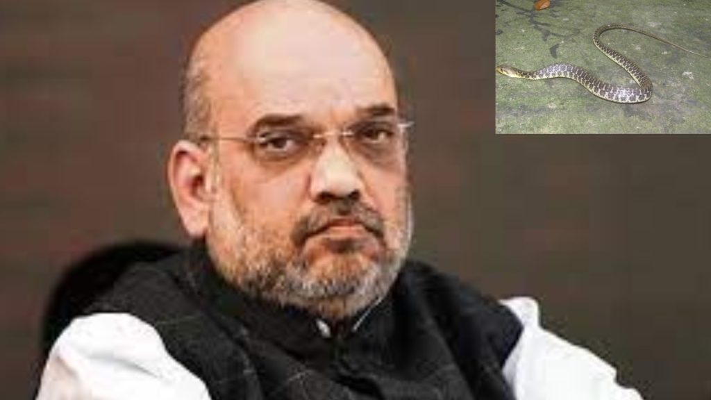 Snake In Amit Shah's Residence