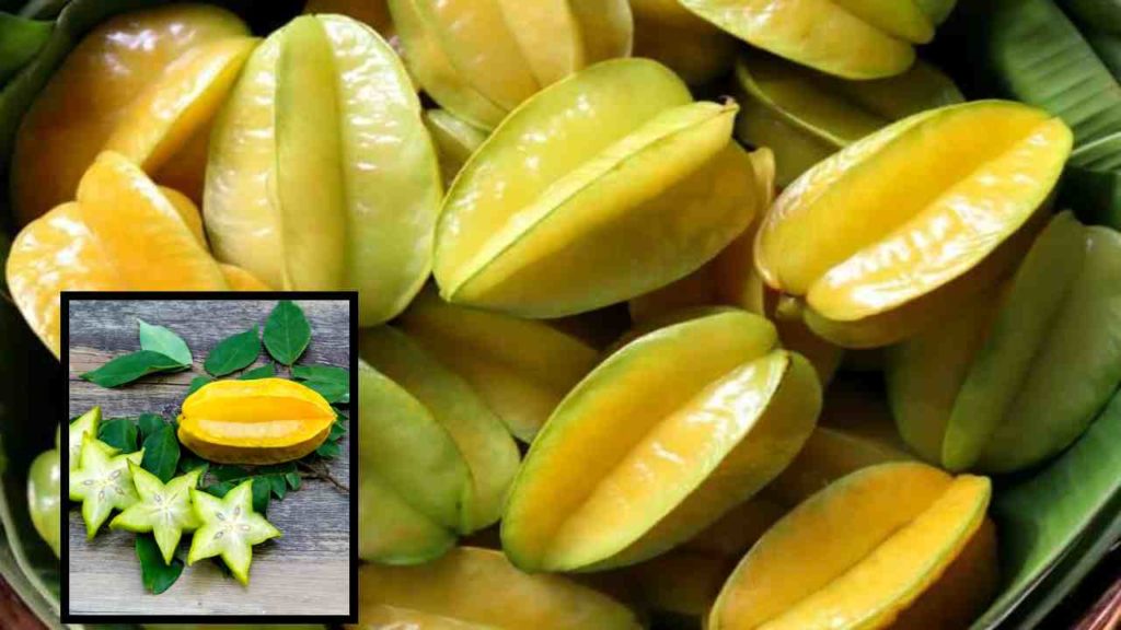Star Fruit