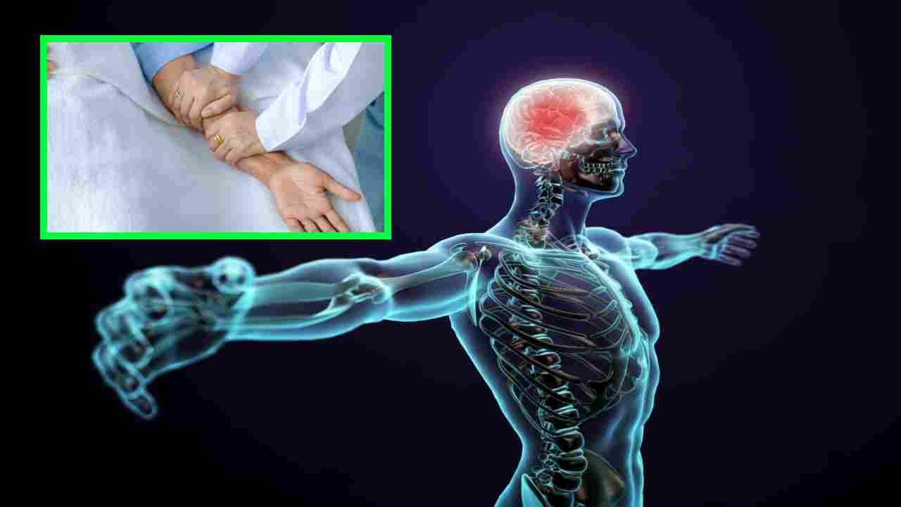 Nervous Weakness : నరాల వీక్నెస్ తో ఇబ్బంది పడుతున్నారా? సమస్య నుండి బయటపడాలంటే? Nervous Weakness : నరాల వీక్నెస్ తో ఇబ్బంది పడుతున్నారా? సమస్య నుండి బయటపడాలంటే?