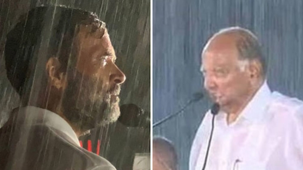 NCP Recalls Pawar Rally After Rahul Rain drenched Speech in Mysuru