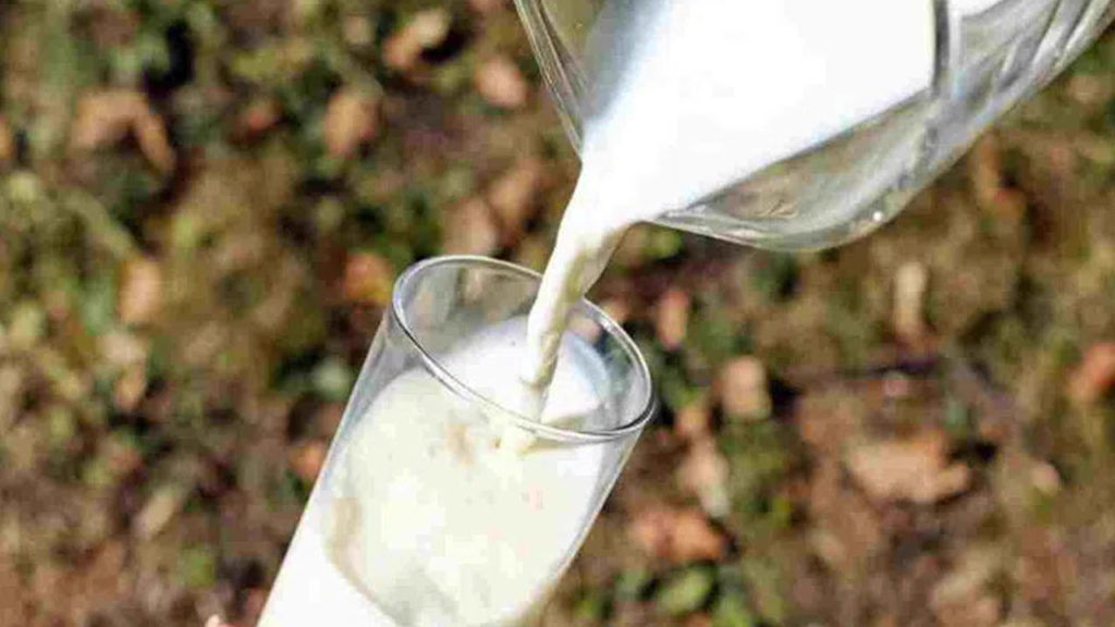 Amul milk price hiked by Rs 2 per litre ahead of Diwali