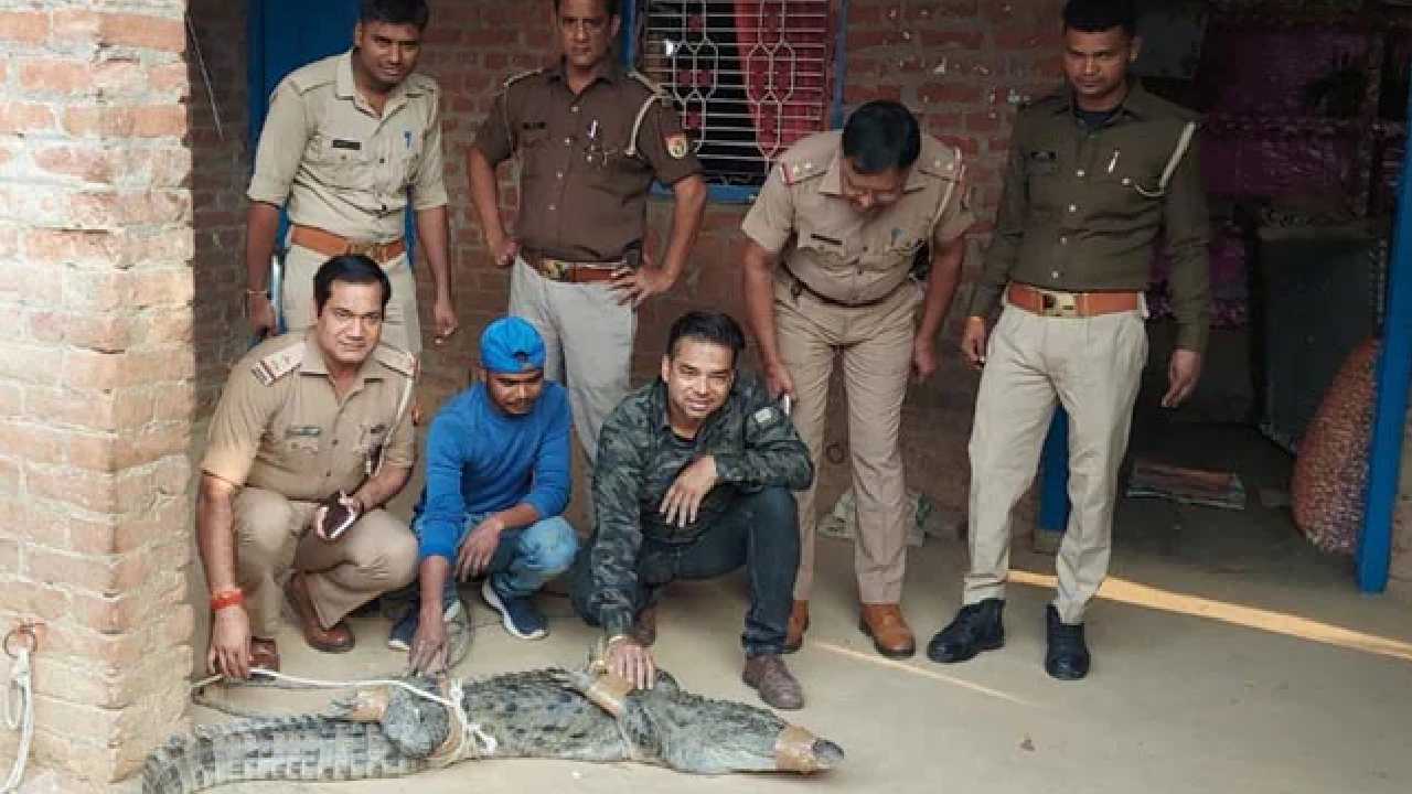 Uttar Pradesh: రాత్రి ఇంట్లోకి ప్రవేశించిన మొసలి.. తెల్లారేదాకా ఇంట్లో బిక్కుబిక్కుమంటూ గడిపిన కుటుంబం Uttar Pradesh: రాత్రి ఇంట్లోకి ప్రవేశించిన మొసలి.. తెల్లారేదాకా ఇంట్లో బిక్కుబిక్కుమంటూ గడిపిన కుటుంబం