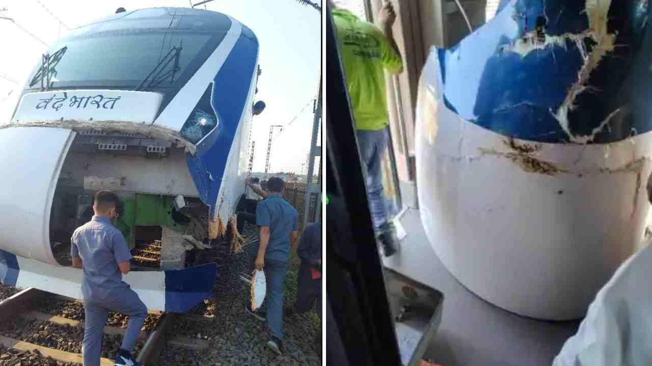 Vande Bharat Express: ప్రమాదానికి గురైన వందే భారత్ ఎక్స్ప్రెస్ రైలు.. ఆవులను, గేదెలను గుద్దుకుని ఆగిపోవడం ఇది మూడోసారి.. Vande Bharat Express: ప్రమాదానికి గురైన వందే భారత్ ఎక్స్ప్రెస్ రైలు.. ఆవులను, గేదెలను గుద్దుకుని ఆగిపోవడం ఇది మూడోసారి..