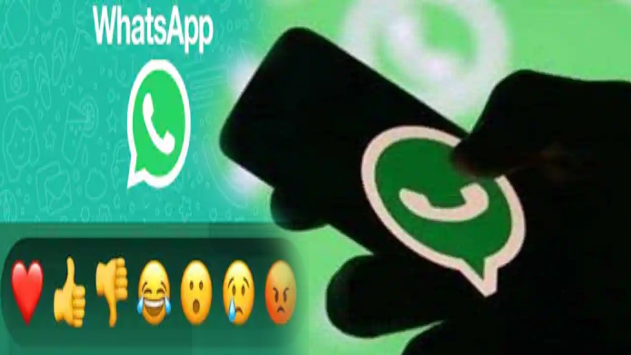 WhatsApp roll out new feature update for iOS Status reaction feature, call links and more