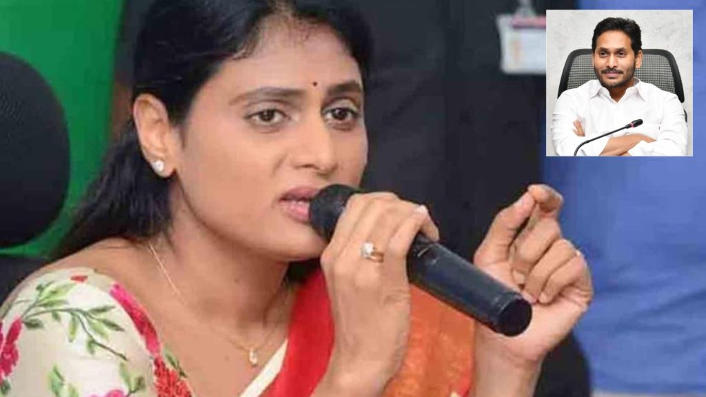 YS Sharmila commented Jagan