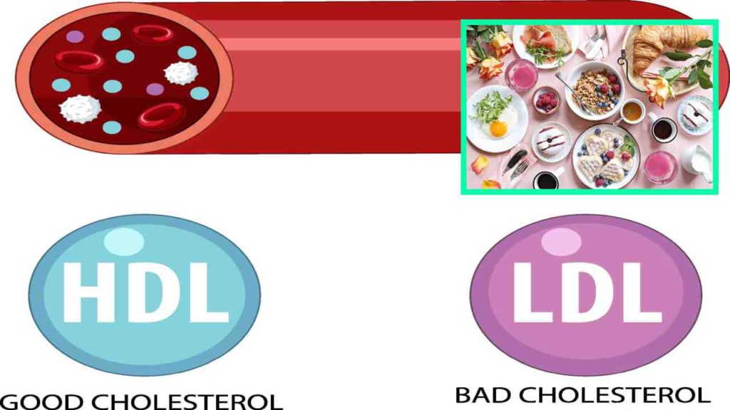 cholesterol hdl and ldl