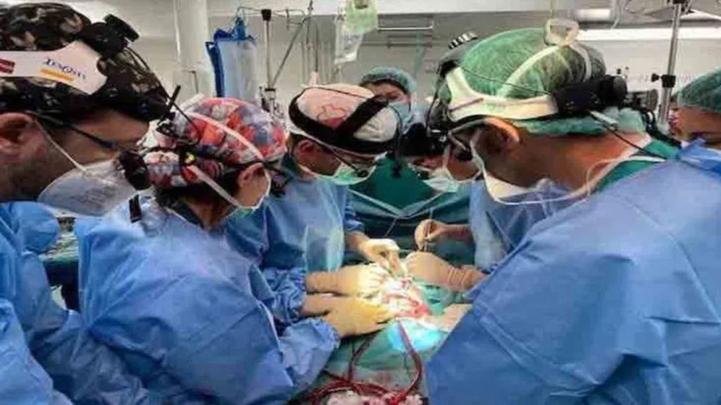 intestine transplant