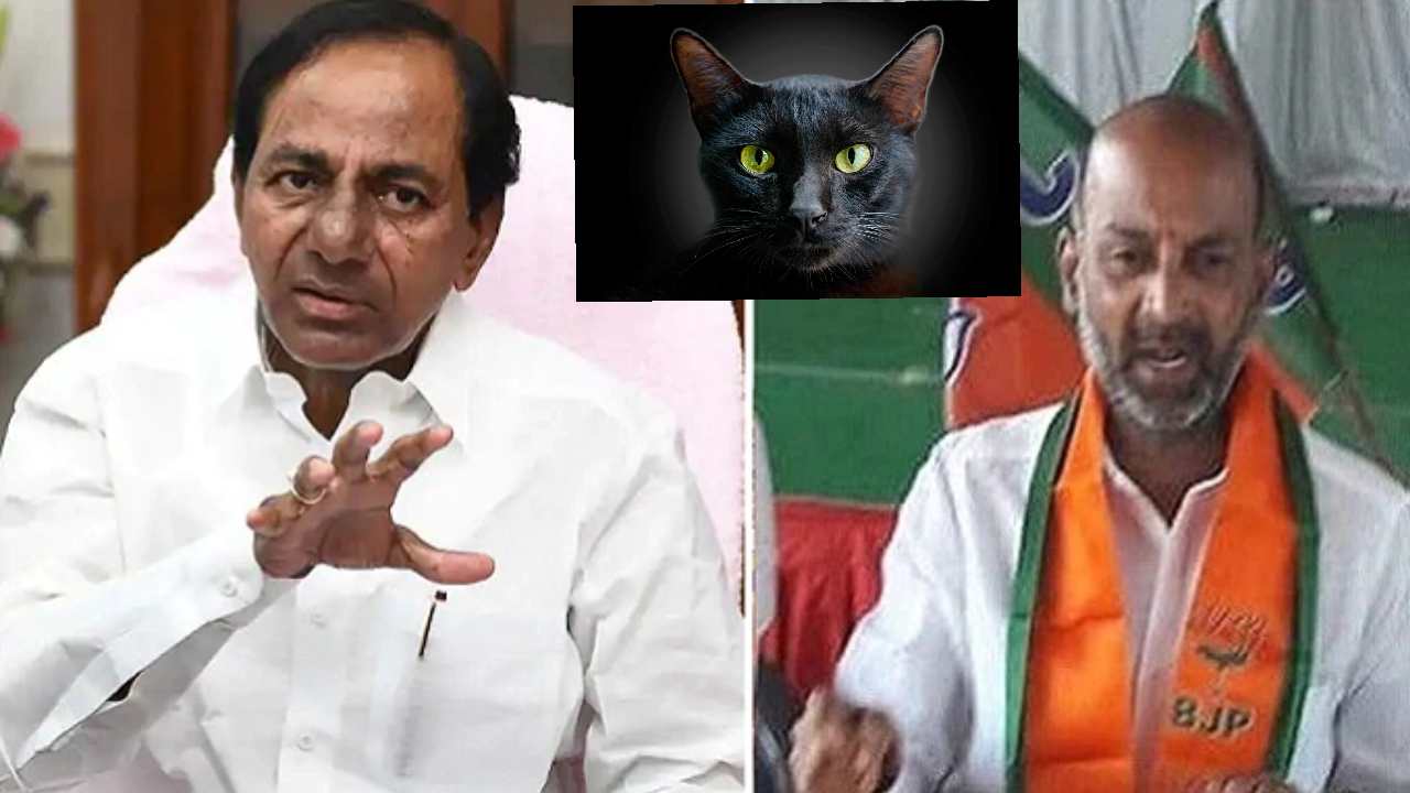 Bandi sanjay slams kcr: నల్లపిల్లితో కేసీఆర్ తాంత్రిక పూజలు.. ఓ స్వామీజీ చెప్పారు: బండి సంజయ్ Bandi sanjay slams kcr: నల్లపిల్లితో కేసీఆర్ తాంత్రిక పూజలు.. ఓ స్వామీజీ చెప్పారు: బండి సంజయ్