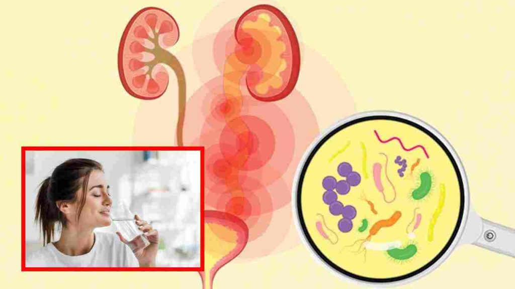 reduce heat and urine infection :