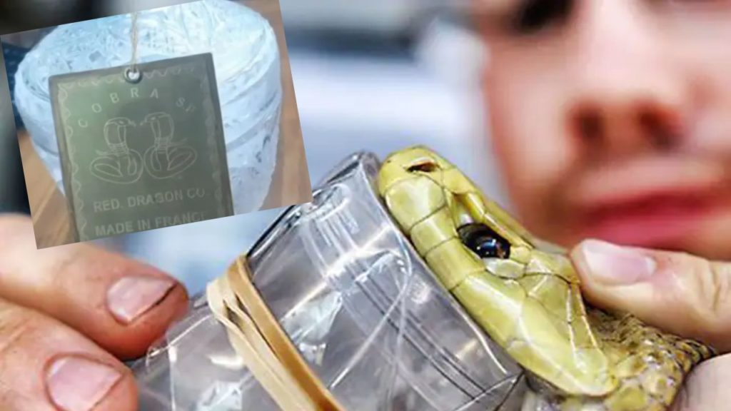 smuggled two and half kgs snake venom worth rs.30 cr seized in darjeeling district