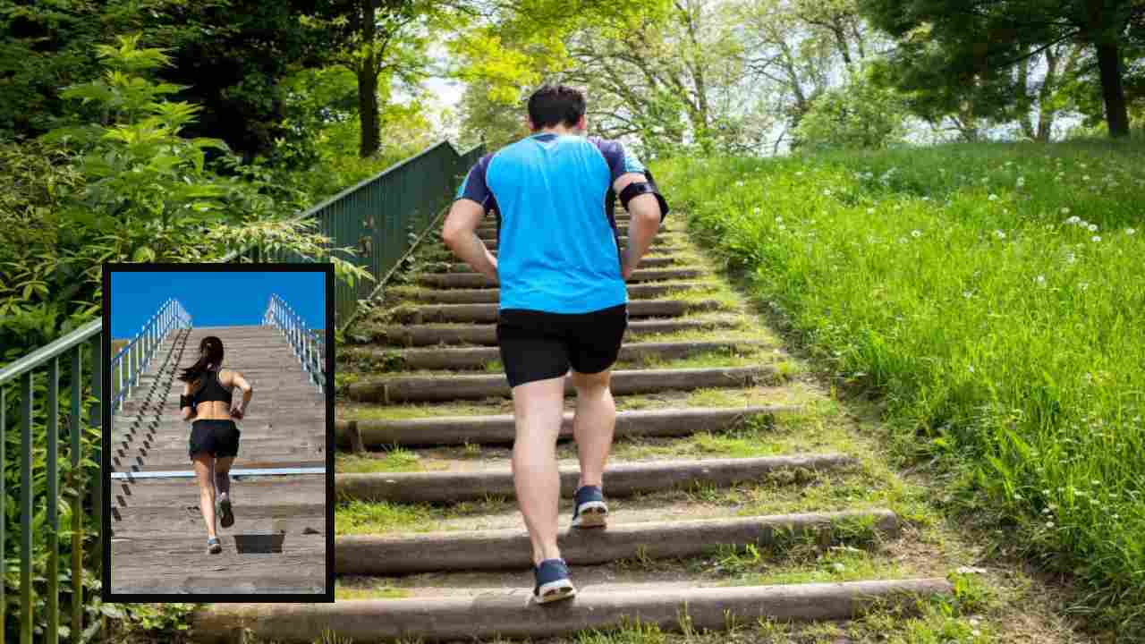 Stair Climbing : మెట్లు ఎక్కేందుకు పట్టే సమయమే మీ గుండె ఆరోగ్యాన్ని నిర్ధేశిస్తుందా? గుండె ఆరోగ్యానికి మెట్లు ఎక్కటం వ్యాయామాల్లో ఒక భాగమేనా? Stair Climbing : మెట్లు ఎక్కేందుకు పట్టే సమయమే మీ గుండె ఆరోగ్యాన్ని నిర్ధేశిస్తుందా? గుండె ఆరోగ్యానికి మెట్లు ఎక్కటం వ్యాయామాల్లో ఒక భాగమేనా?