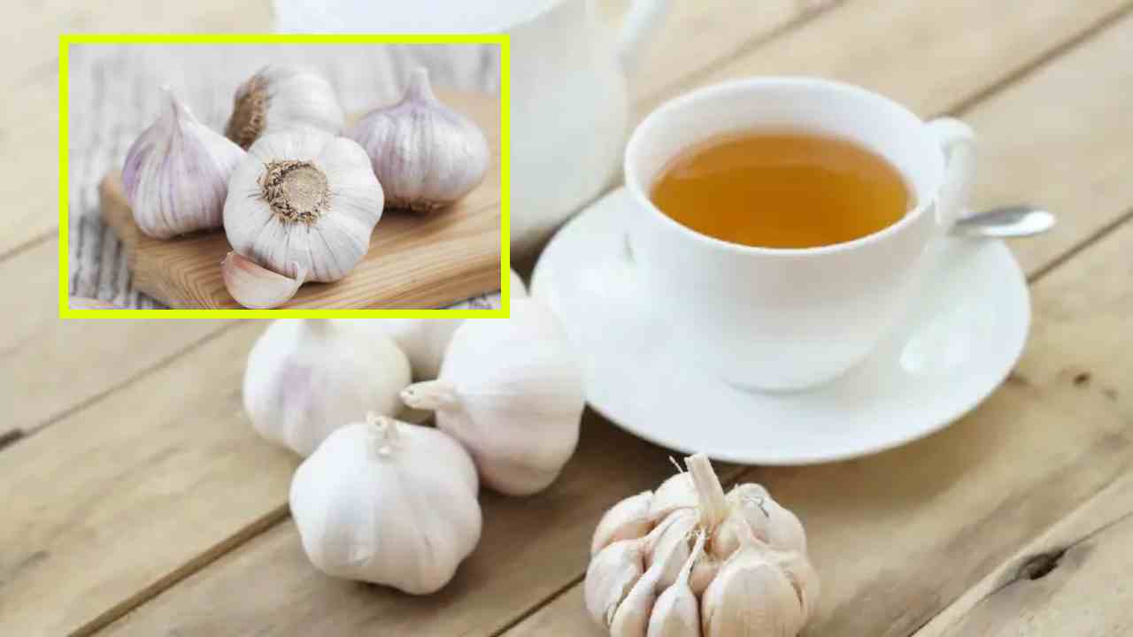 Garlic Tea : చలికాలంలో రోజుకు ఒక కప్పు వెల్లుల్లి టీ తీసుకుంటే అనేక ప్రయోజనాలు! Garlic Tea : చలికాలంలో రోజుకు ఒక కప్పు వెల్లుల్లి టీ తీసుకుంటే అనేక ప్రయోజనాలు!