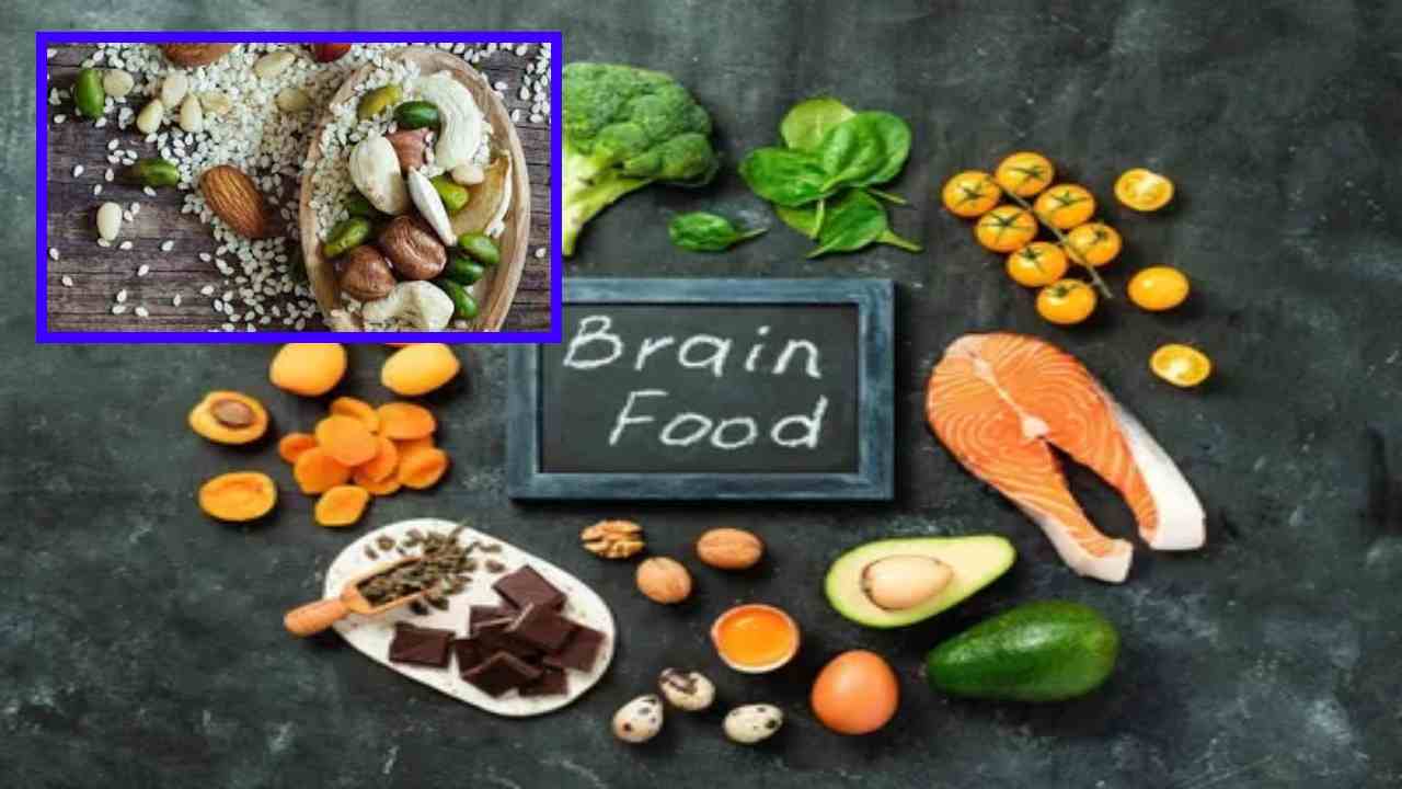 Improve Brain Function : మెదడు పనితీరు మెరుగుపడాలంటే ఆహారంలో ఈ పోషకాలు తప్పనిసరిగా చేర్చుకోండి! Improve Brain Function : మెదడు పనితీరు మెరుగుపడాలంటే ఆహారంలో ఈ పోషకాలు తప్పనిసరిగా చేర్చుకోండి!