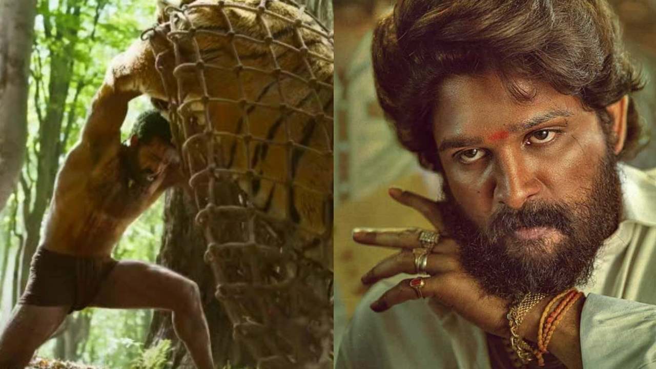 Pushpa 2: ఆర్ఆర్ఆర్ ఎఫెక్ట్.. రియల్ టైగర్తో పుష్పరాజ్ ఫైట్..? Pushpa 2: ఆర్ఆర్ఆర్ ఎఫెక్ట్.. రియల్ టైగర్తో పుష్పరాజ్ ఫైట్..?