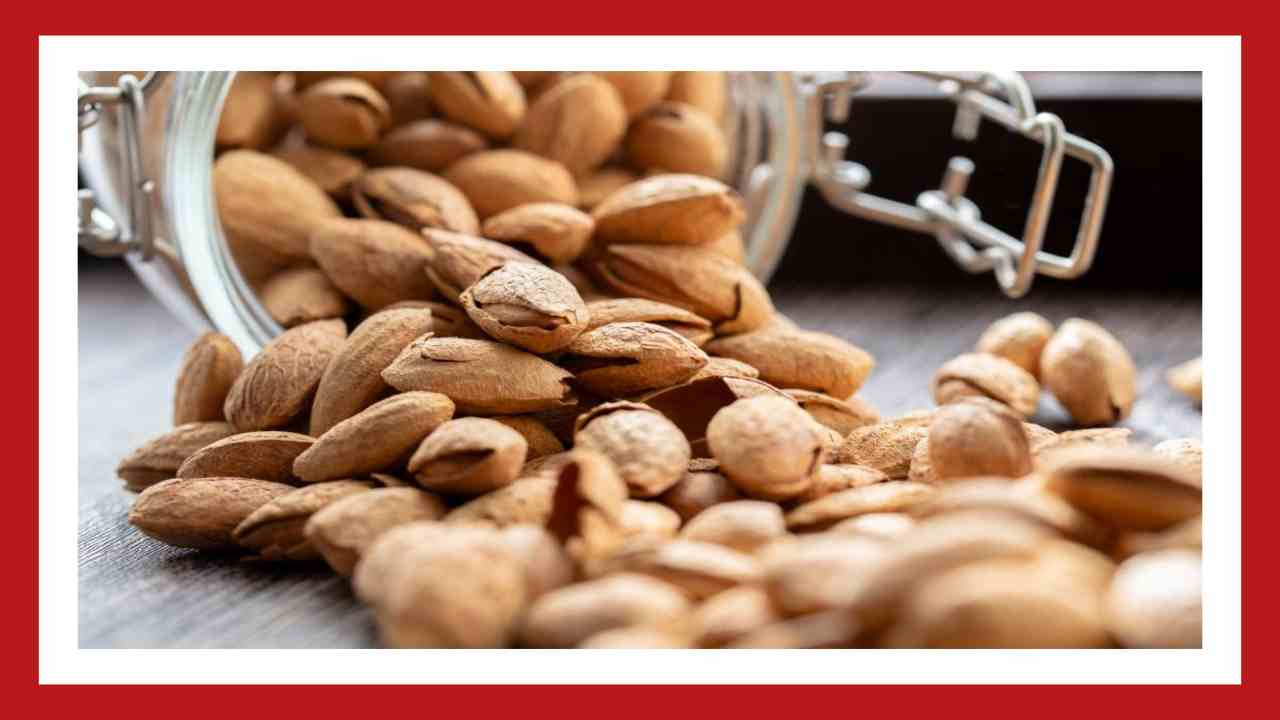 Almonds : చలికాలంలో వైరస్, బ్యాక్టీరియాల నుండి రక్షణకల్పించే బాదం! Almonds : చలికాలంలో వైరస్, బ్యాక్టీరియాల నుండి రక్షణకల్పించే బాదం!