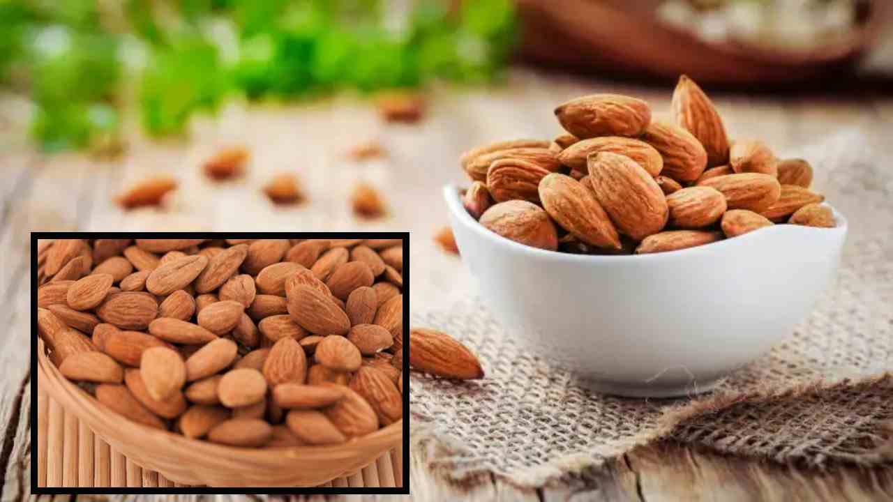 Almonds : రక్తంలో చక్కెర స్ధాయిలను అదుపులో ఉంచే బాదం! చలికాలంలో వ్యాధుల నుండి రక్షణగా? Almonds : రక్తంలో చక్కెర స్ధాయిలను అదుపులో ఉంచే బాదం! చలికాలంలో వ్యాధుల నుండి రక్షణగా?