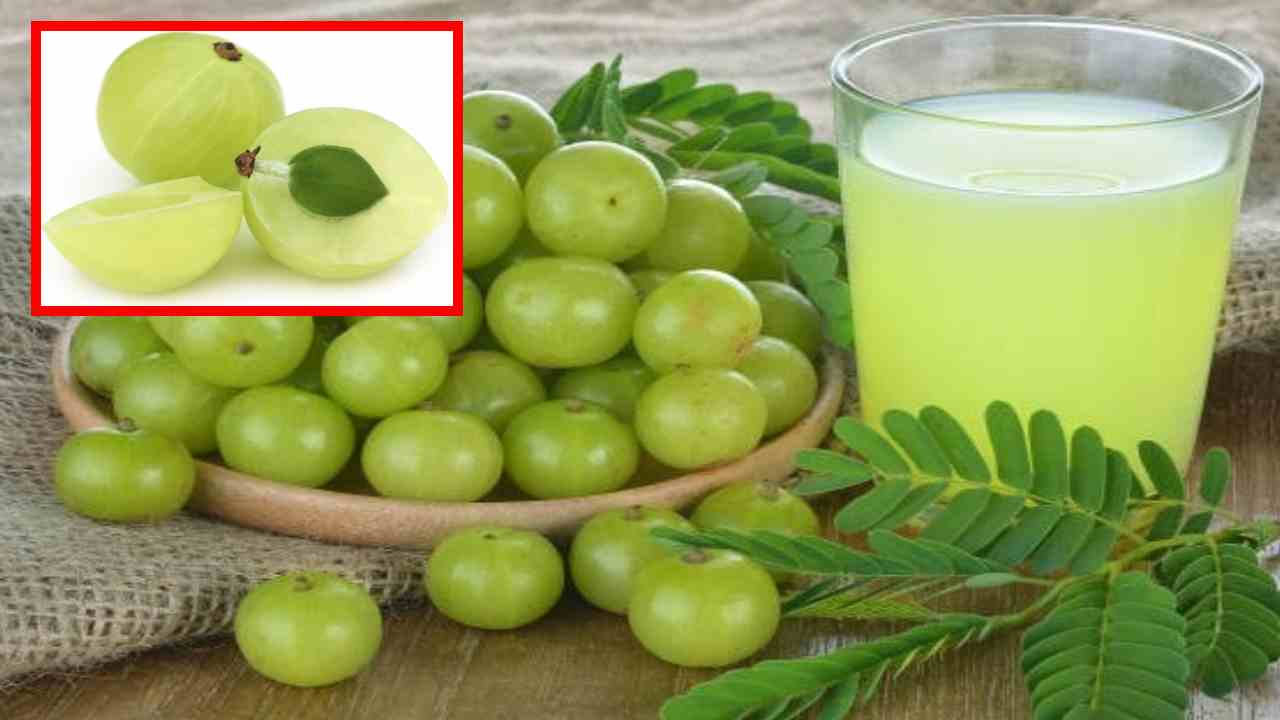Amla Juice : శీతాకాలంలో వ్యాధులు దరిచేరకుండా రక్షించే ఉసిరికాయ జ్యూస్! Amla Juice : శీతాకాలంలో వ్యాధులు దరిచేరకుండా రక్షించే ఉసిరికాయ జ్యూస్!