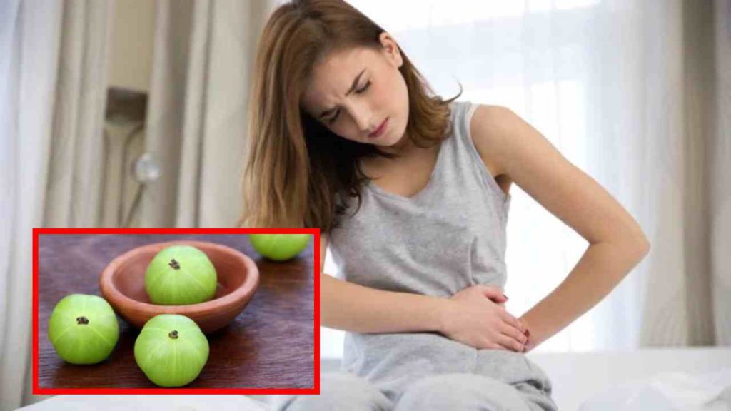 Amla which relieves the problem of constipation in winter and speeds up digestion!