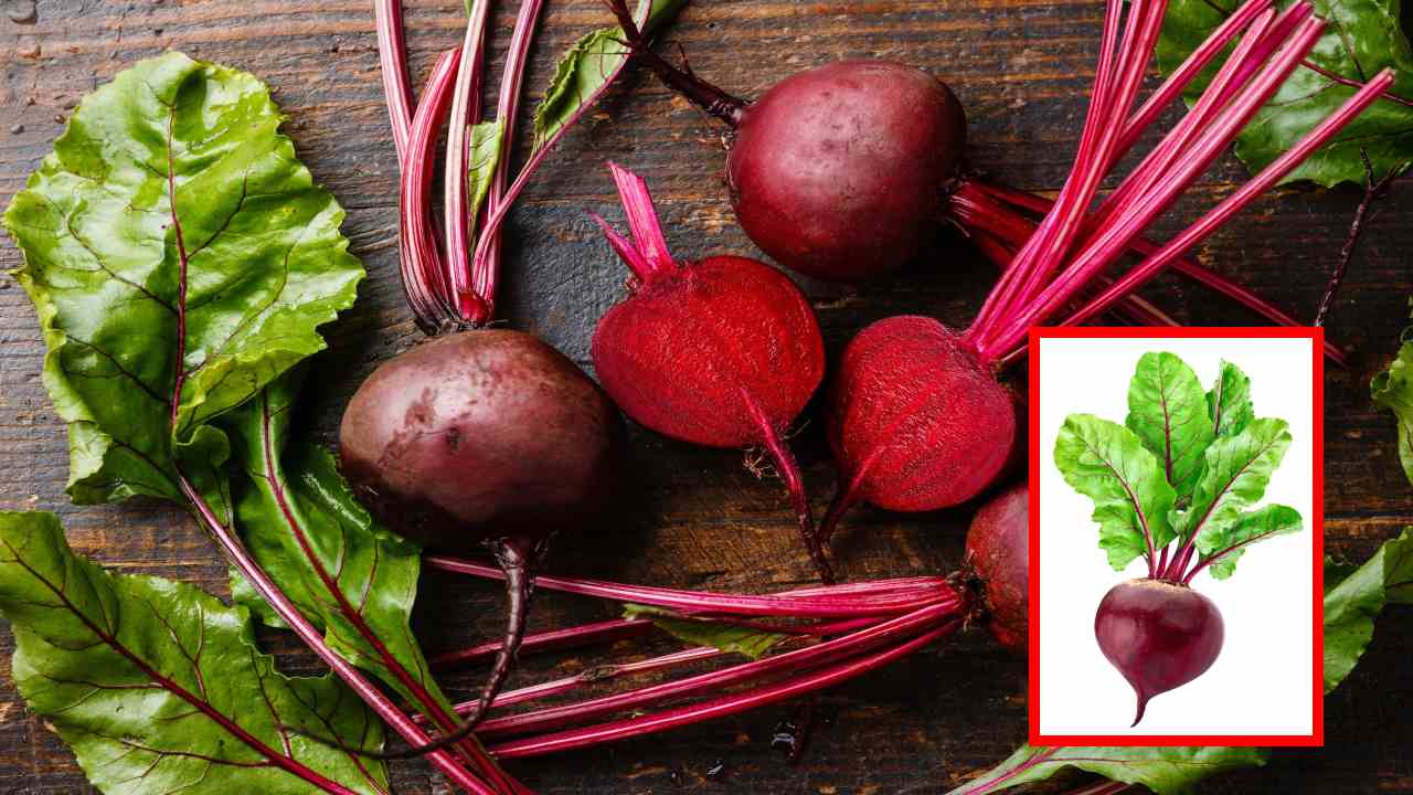 Beet Root : చలికాలంలో గుండె ఆరోగ్యానికి మేలు చేసే బీట్ రూట్ ! Beet Root : చలికాలంలో గుండె ఆరోగ్యానికి మేలు చేసే బీట్ రూట్ !