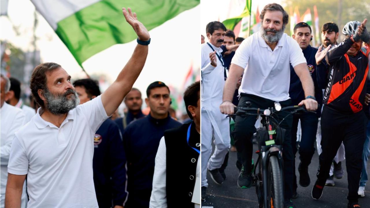 Bharat Jodo Yatra: జోడో యాత్రలో సైక్లిస్టుగా మారిన రాహుల్.. వీడియో వైరల్.. కాంగ్రెస్ శ్రేణుల్లో జోష్ .. Bharat Jodo Yatra: జోడో యాత్రలో సైక్లిస్టుగా మారిన రాహుల్.. వీడియో వైరల్.. కాంగ్రెస్ శ్రేణుల్లో జోష్ ..