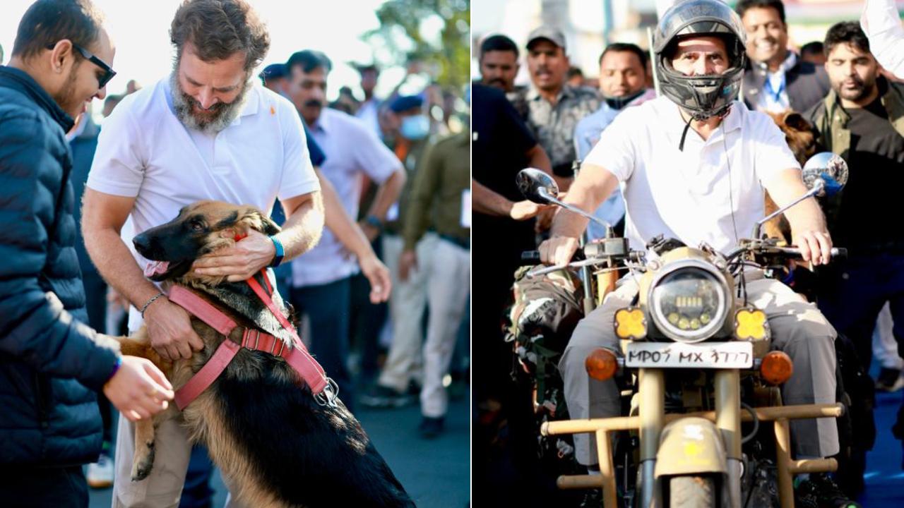 Bharat Jodo Yatra: బుల్లెట్ ఎక్కిన రాహుల్ గాంధీ.. మధ్యప్రదేశ్‌లో కొనసాగుతున్న భారత్ జోడో యాత్ర.. (ఫొటోలు)