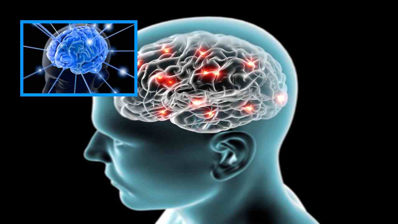 Brain Active : మెదడు చురుకుగా, నిర్ణయాలు వేగంగా.. అలాగైతే వీటిని ఆహారంలో చేర్చుకోండి! Brain Active : మెదడు చురుకుగా, నిర్ణయాలు వేగంగా.. అలాగైతే వీటిని ఆహారంలో చేర్చుకోండి!