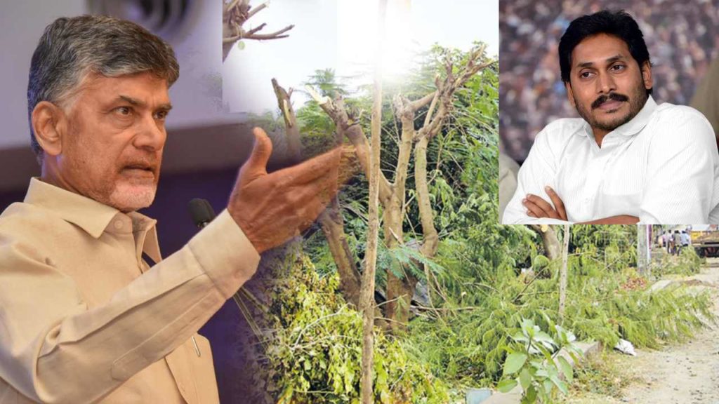 CM Jagan visit to West Godavari Narasapuram city..Chandrababu Naidu criticizes tree cutting