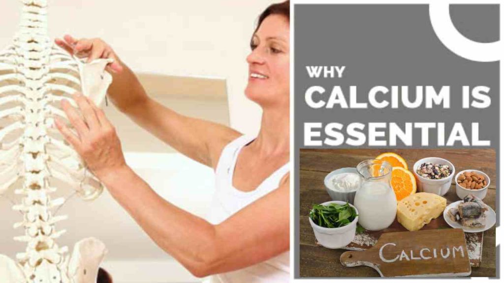 Calcium Is Essential :