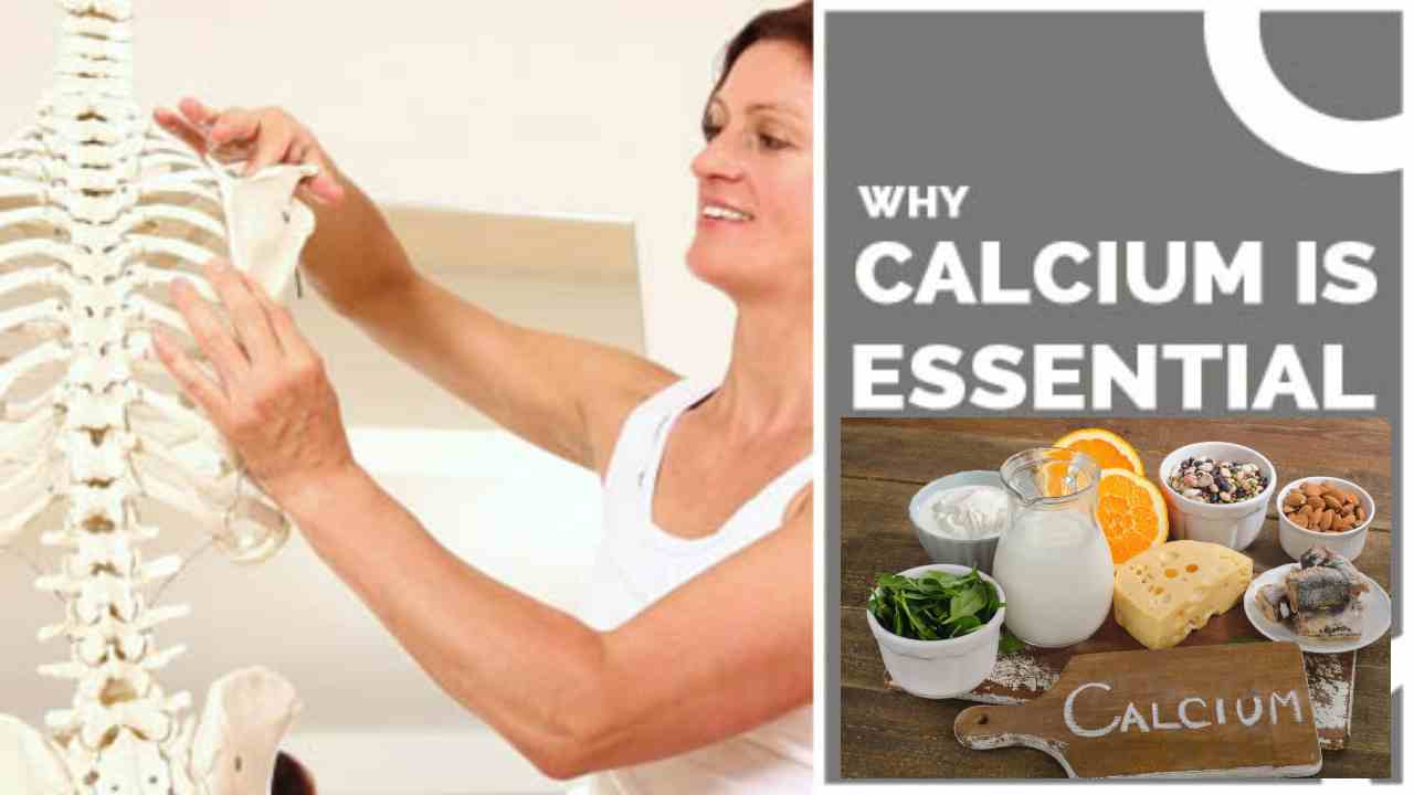 Calcium Is Essential : ఎముకల గట్టితనానికే కాదు, గుండె ఆరోగ్యానికి కాల్షియం అవసరమే! Calcium Is Essential : ఎముకల గట్టితనానికే కాదు, గుండె ఆరోగ్యానికి కాల్షియం అవసరమే!