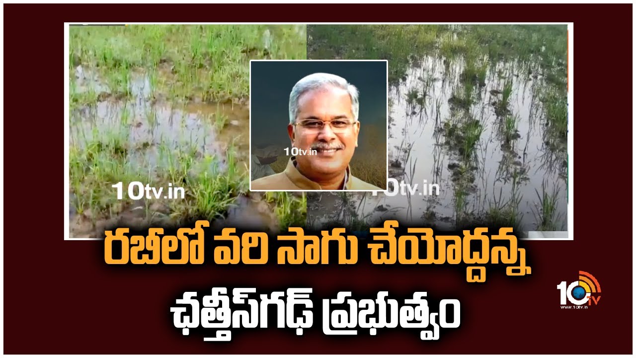 రబీలో వరి సాగు చేయోద్దన్నఛత్తీస్‌గఢ్ ప్రభుత్వం