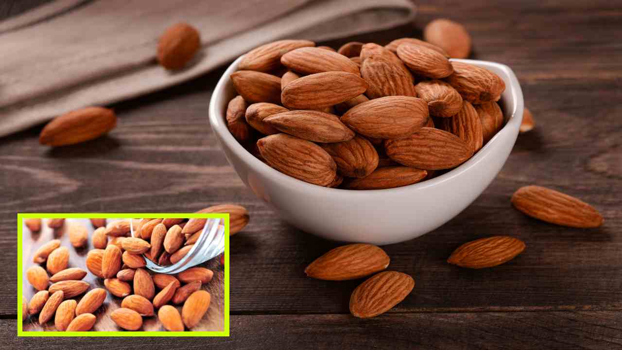 Eating Almonds : బాదం తినే విషయంలో అపోహపడుతున్నారా? నిపుణులు ఏం చెబుతున్నారంటే? Eating Almonds : బాదం తినే విషయంలో అపోహపడుతున్నారా? నిపుణులు ఏం చెబుతున్నారంటే?
