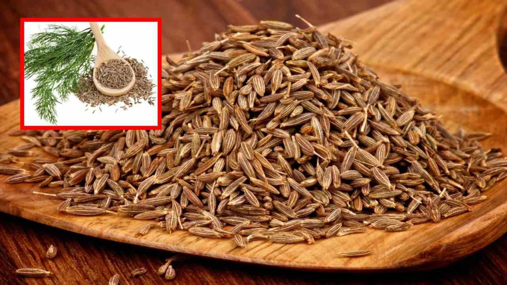 Cumin
