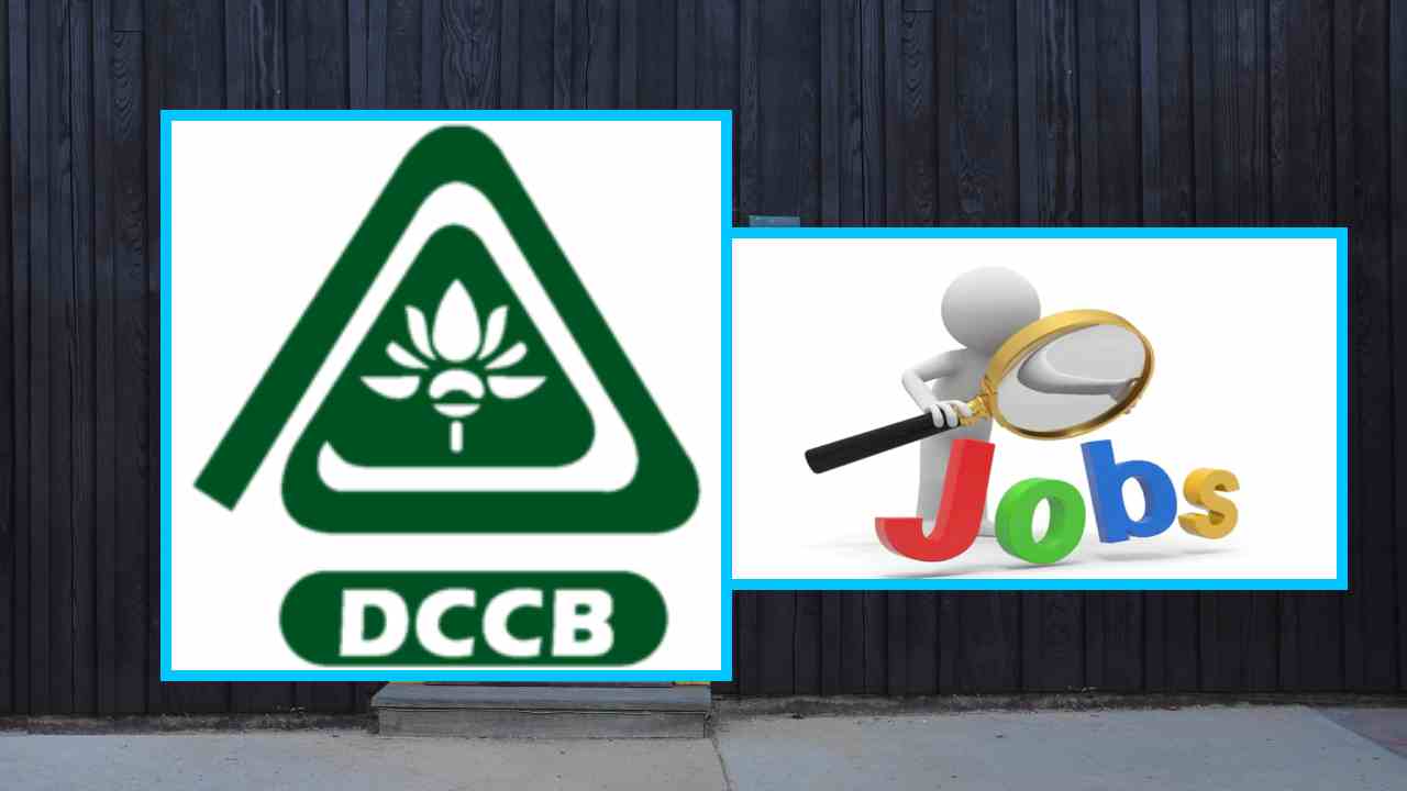 DCCB Chittoor Recruitment : చిత్తూరు జిల్లా డిస్ట్రిక్ట్ కో ఆపరేటివ్ సెంట్రల్ బ్యాంక్ లిమిటెడ్లో పలు ఉద్యోగాల భర్తీ DCCB Chittoor Recruitment : చిత్తూరు జిల్లా డిస్ట్రిక్ట్ కో ఆపరేటివ్ సెంట్రల్ బ్యాంక్ లిమిటెడ్లో పలు ఉద్యోగాల భర్తీ