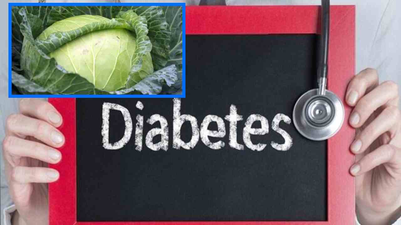 Diabetics : మధుమేహులు క్యాబేజీ తినిటం మిస్ కావొద్దు! అసలు విషయం తెలిస్తే? Diabetics : మధుమేహులు క్యాబేజీ తినిటం మిస్ కావొద్దు! అసలు విషయం తెలిస్తే?
