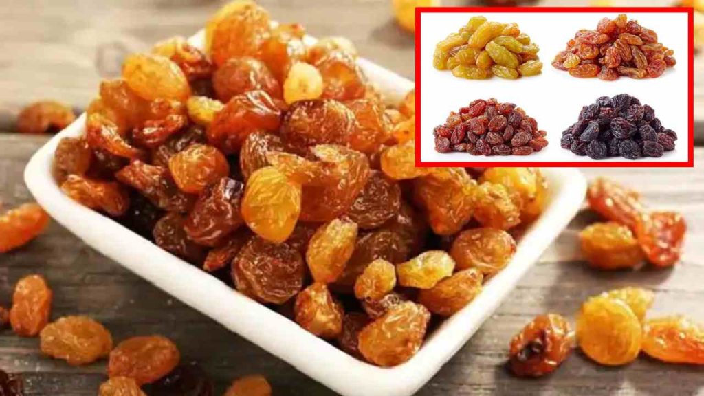 Does eating raisins cause bacteria and infections in winter?