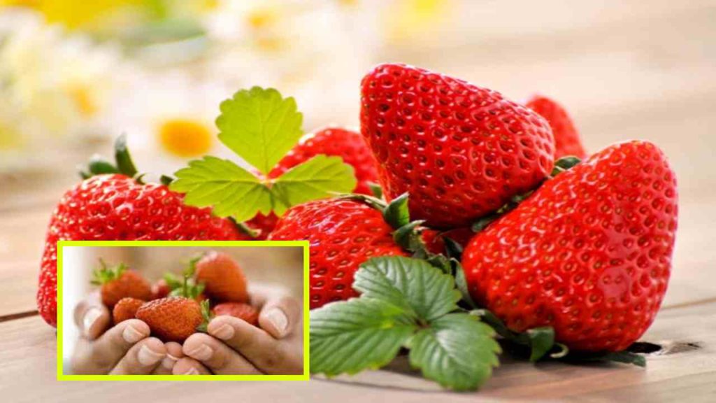 Eating strawberries in winter is good for heart health!