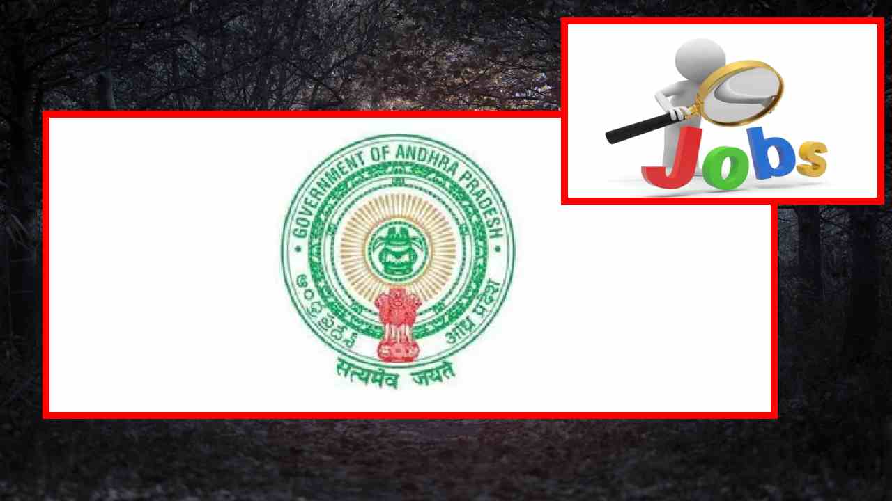 DMHO Nellore Recruitment : నెల్లూరు జిల్లా వైద్య, ఆరోగ్య శాఖలో పలు ఖాళీల భర్తీ DMHO Nellore Recruitment : నెల్లూరు జిల్లా వైద్య, ఆరోగ్య శాఖలో పలు ఖాళీల భర్తీ