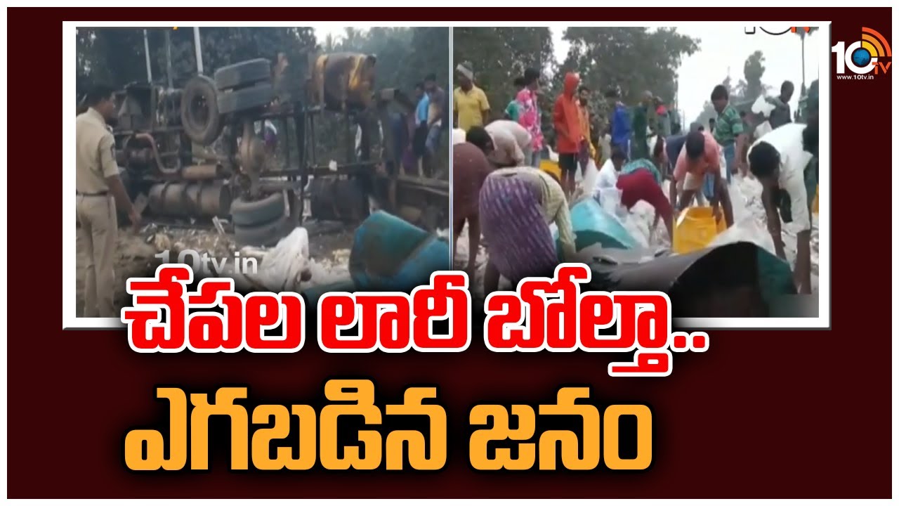 చేపల లారీ బోల్తా..ఎగబడిన జనం