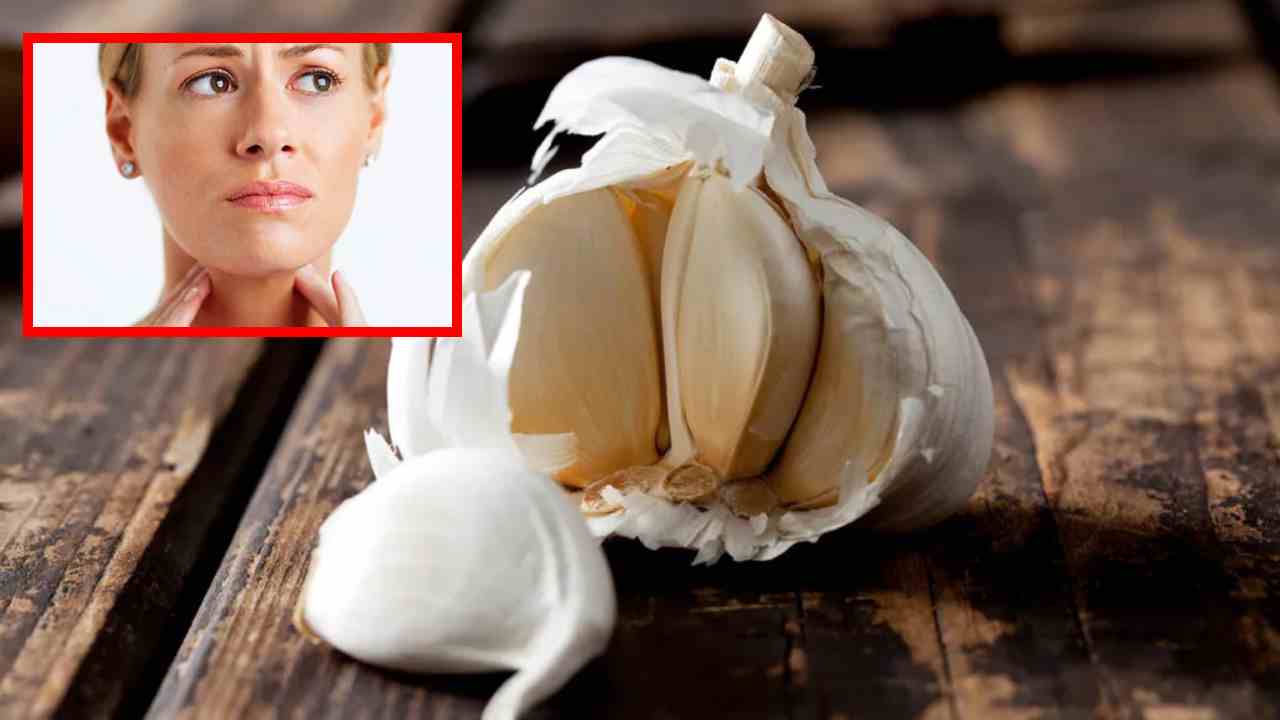 Garlic : గొంతు కండరాల నొప్పిని తగ్గించే వెల్లుల్లి ! Garlic : గొంతు కండరాల నొప్పిని తగ్గించే వెల్లుల్లి !